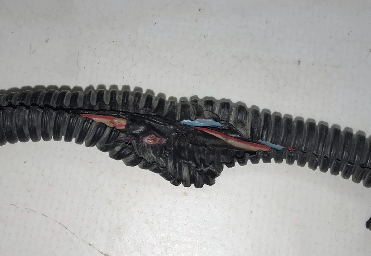 1 Електропроводка бампера переднього (без парктроників та автопілота) (з пошкодженнями) Tesla model S 1004420-00-M