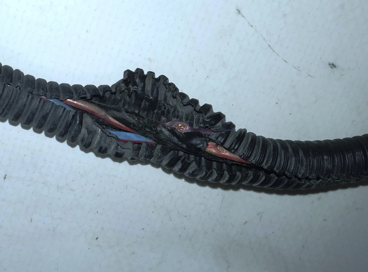 1 Електропроводка бампера переднього (без парктроників та автопілота) (з пошкодженнями) Tesla model S 1004420-00-M