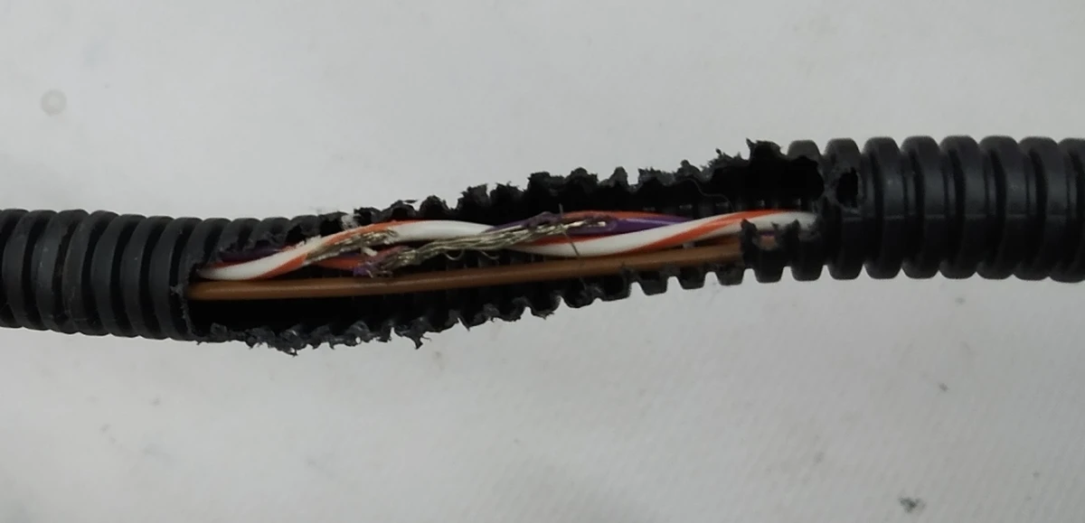 Driver's Passenger Seat Airbag Wiring (Damaged) Tesla model S REST, model S 1056288-02-B