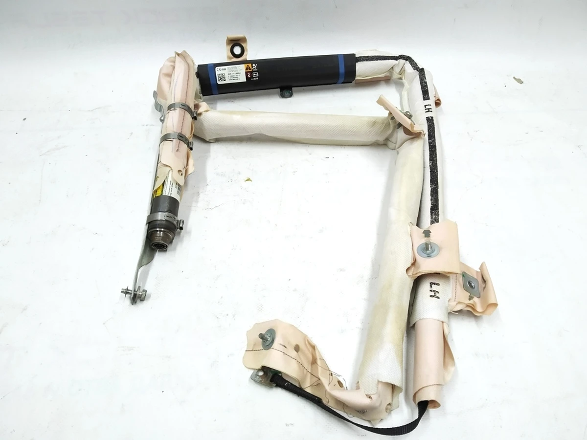 1 CURTAIN AIRBAG ASSY - LH Tesla model S, model S REST 1005261-00-D