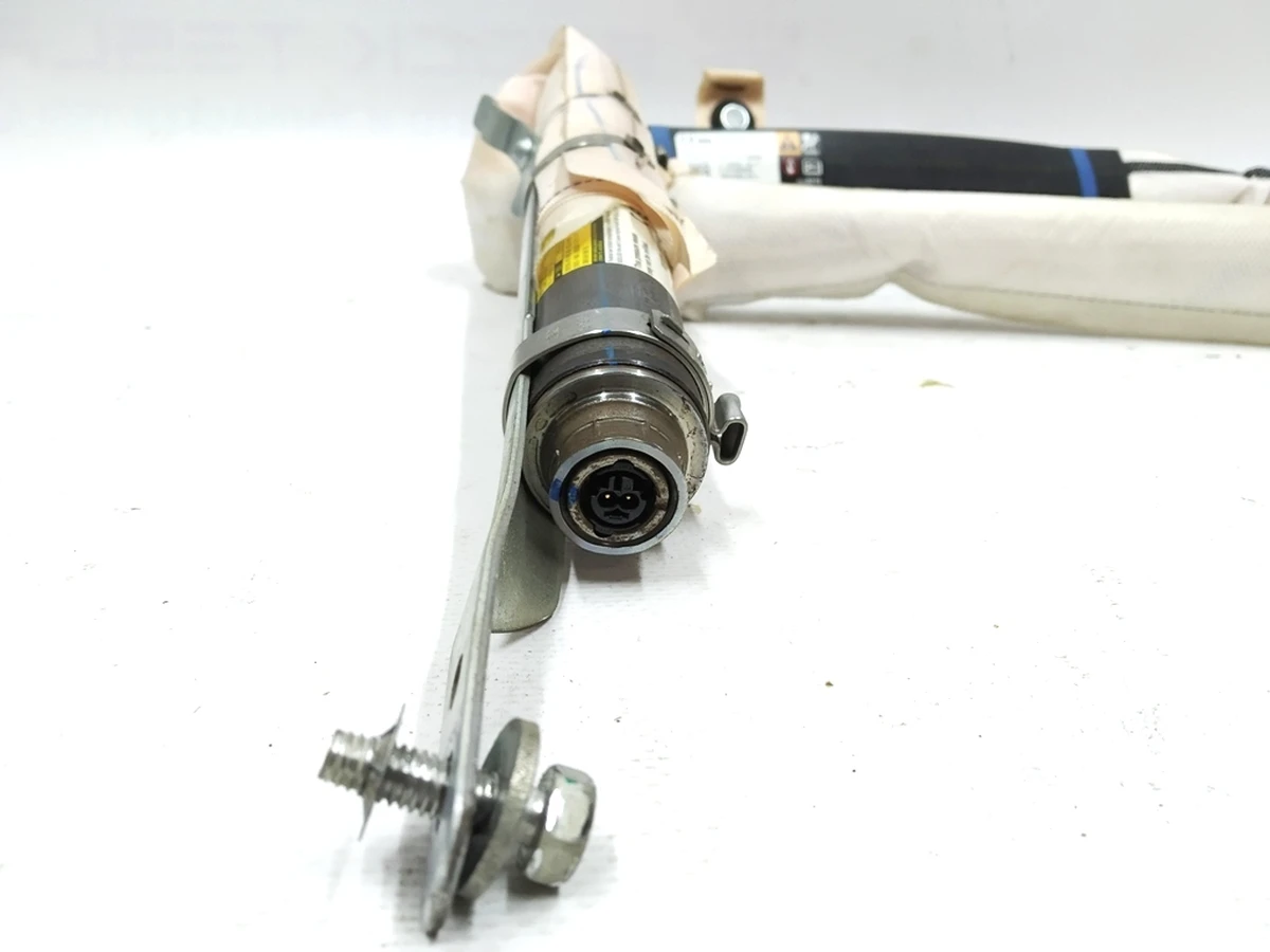 1 CURTAIN AIRBAG ASSY - LH Tesla model S, model S REST 1005261-00-D