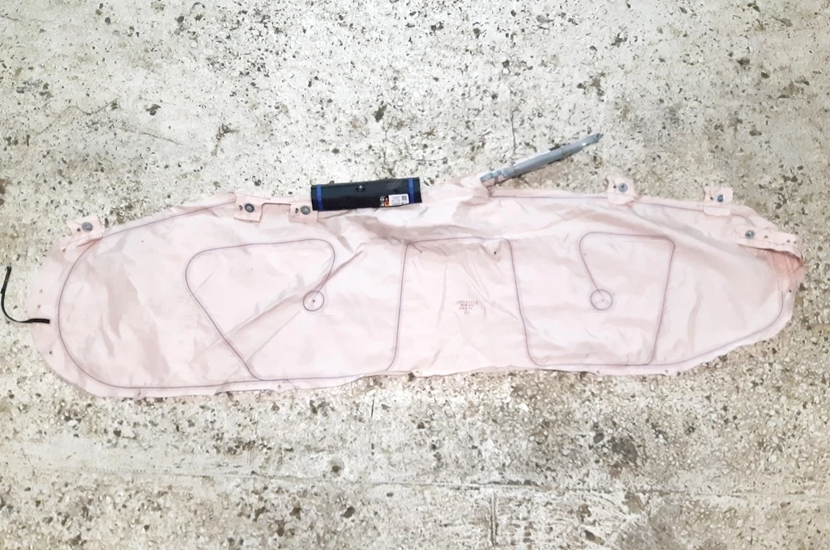 1 Left side airbag (curtain) (under restoration) Tesla model S, model S REST 1005261-00-D