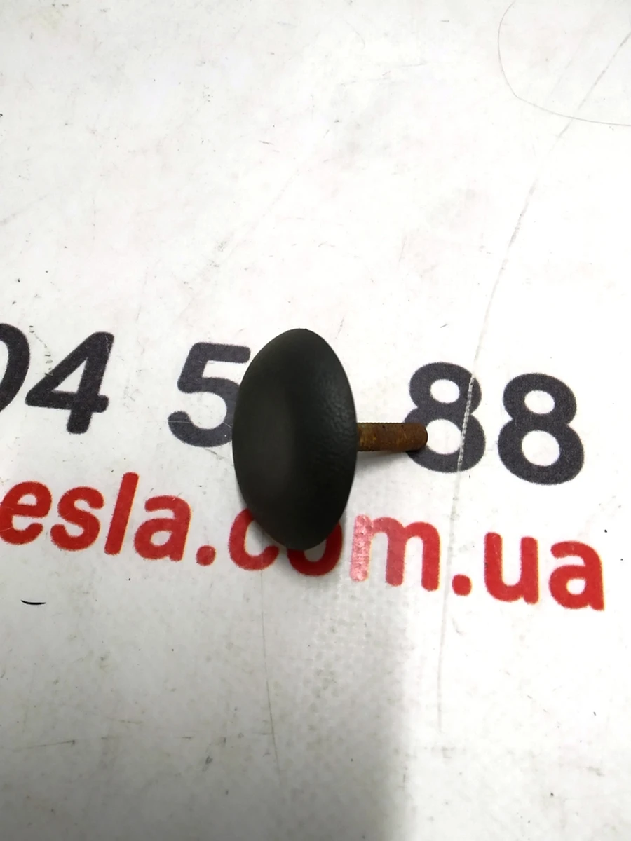 5 Болт регулювальний підкапотний (грибок) 6MM Tesla model S, model S REST 1012602-00-E