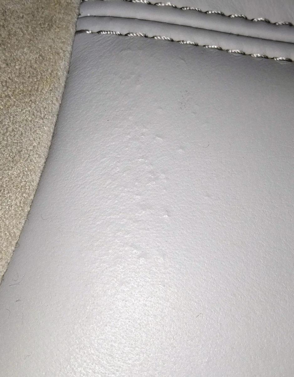 1 NA MS 2R LH 60 RSB PERF GRAY (unheated, skin "swollen" in places) Tesla model S, model S REST 1030481-04-A