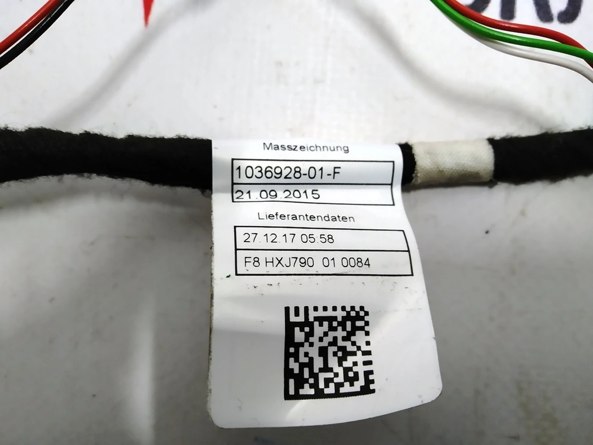 10 Електропроводка двері передньої лівої Tesla Model X 1036928-01-F