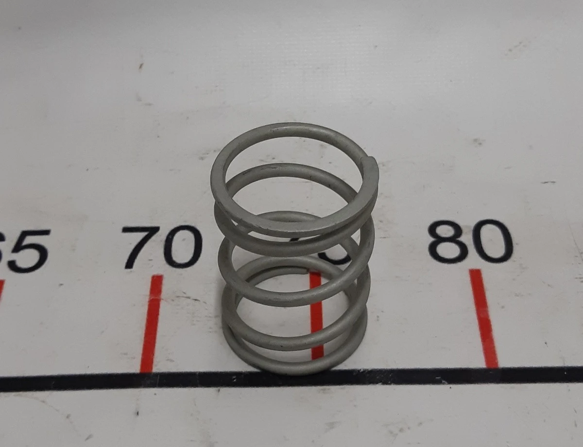 1 Exterior mirror bracket spring Tesla model S, model S REST 1041315-00-B