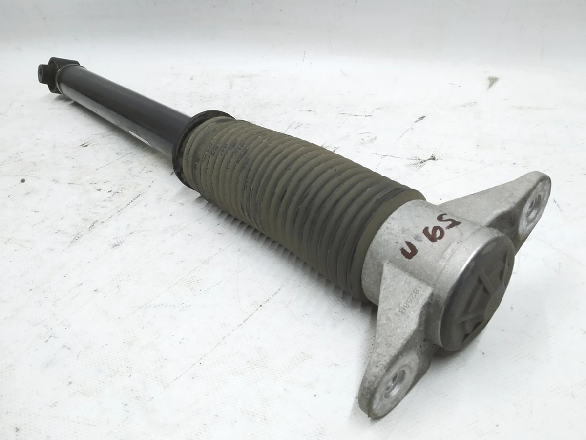 1 Амортизатор задній E3 AWD Tesla model 3 1044461-01-E