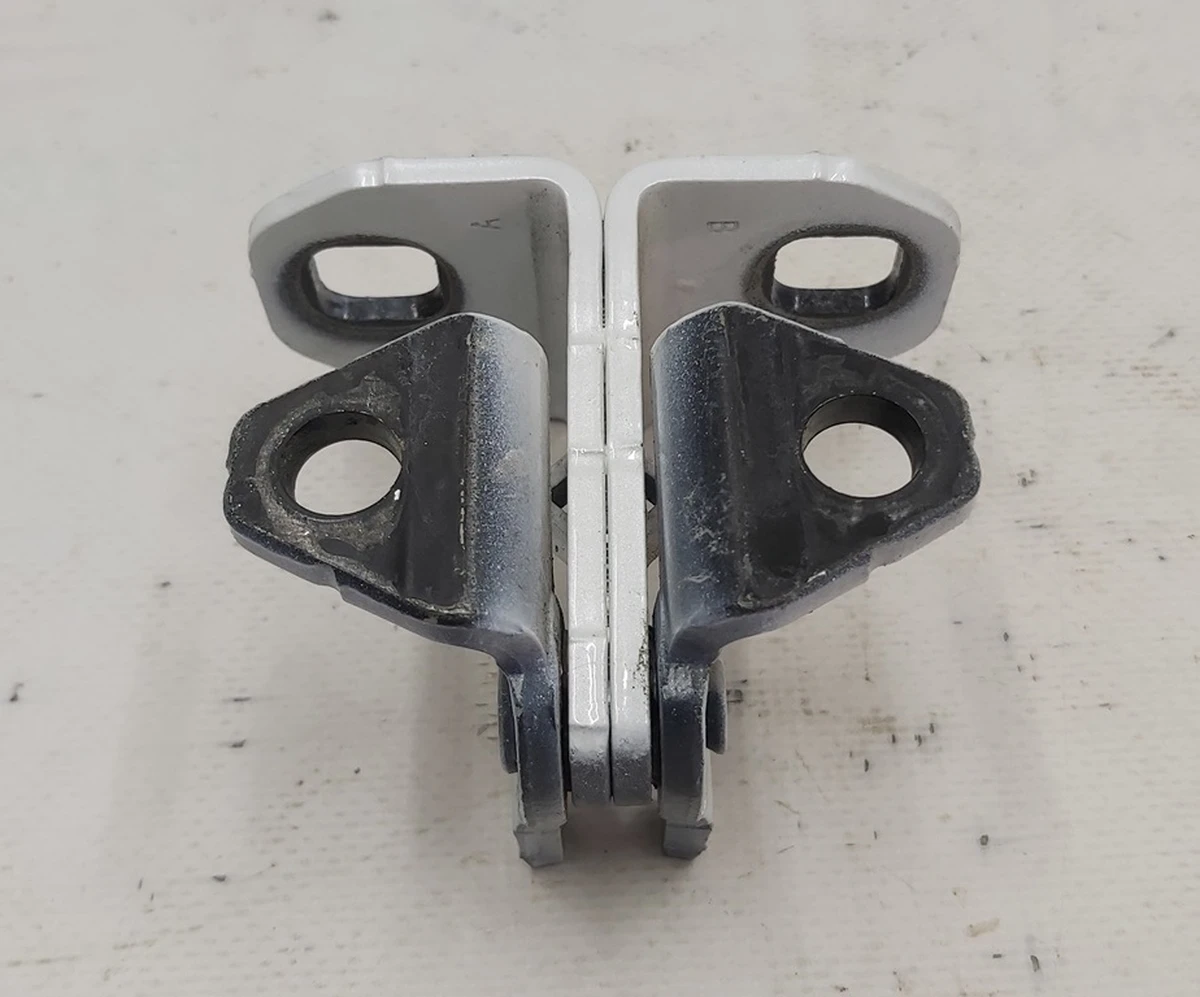 4 NGE LWR FR DOOR PPSW Tesla model X 1045538-00-H