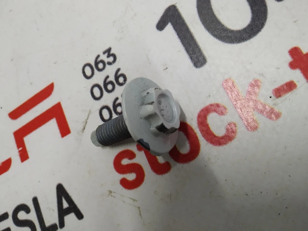 19 Болт кріплення петлею вторинних (міжсекційних) BOLT, TE, M8x22, STL [10.9], PC Tesla Model X 1056534-00-C