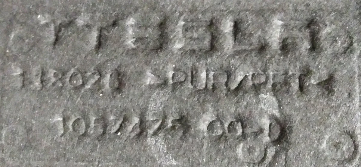 4 Шумоізолятор заднього двигуна Tesla model X 1057475-00-D