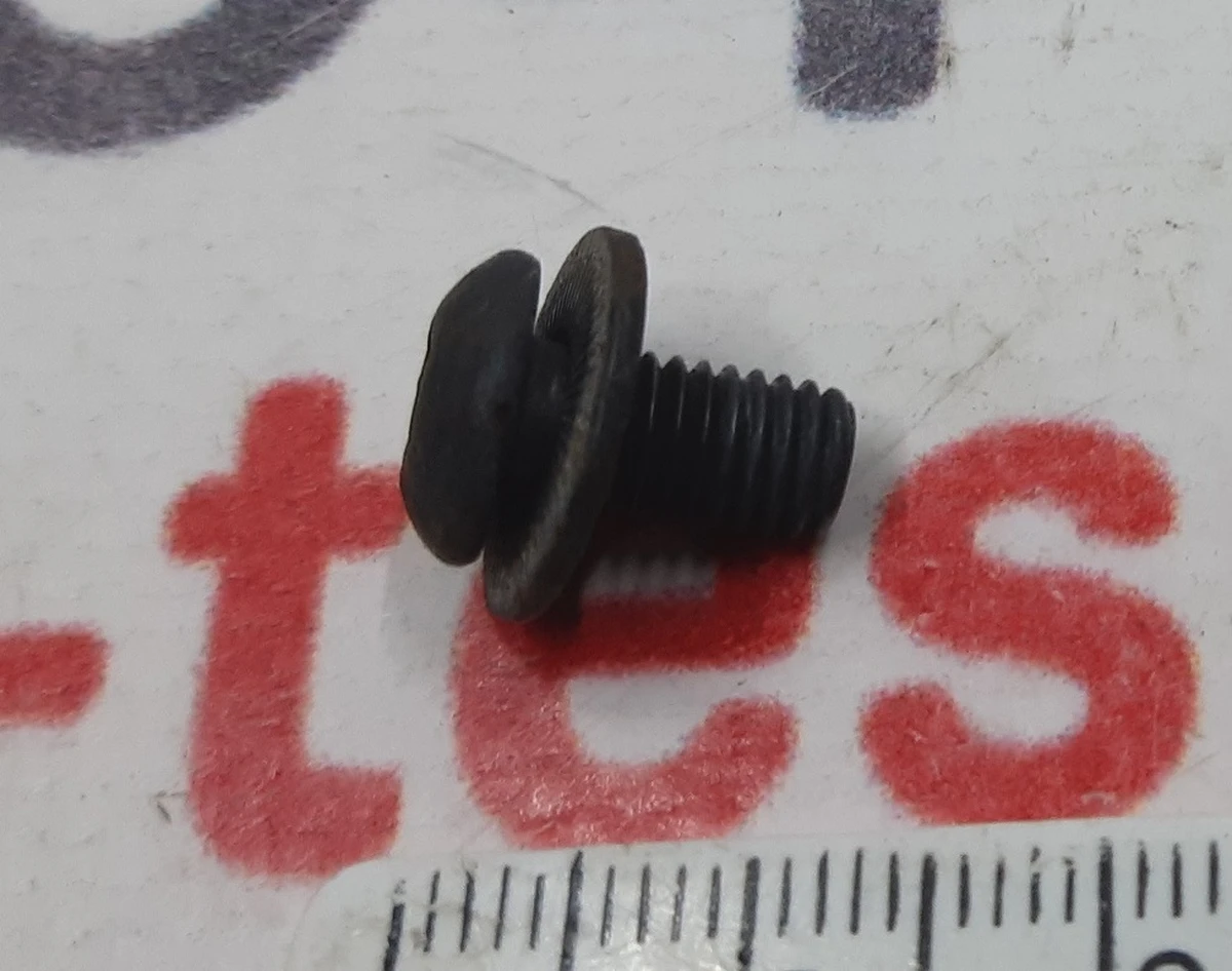 Bolt with washer PN M5x10, STL [88], ZNNI Tesla model X 1076658-00-B