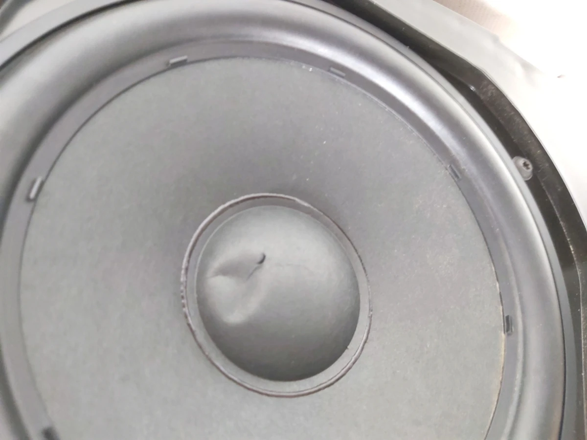 1 AUDIO,SPEAKER,SUBWOOFER Damaged,ASY  Tesla model 3 1079747-00-D