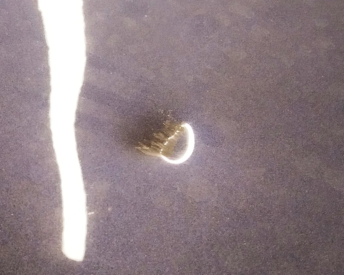 1 Капот в сборе с эмблемой "T" (с повреждениями) Tesla model 3 1081390-E0-C