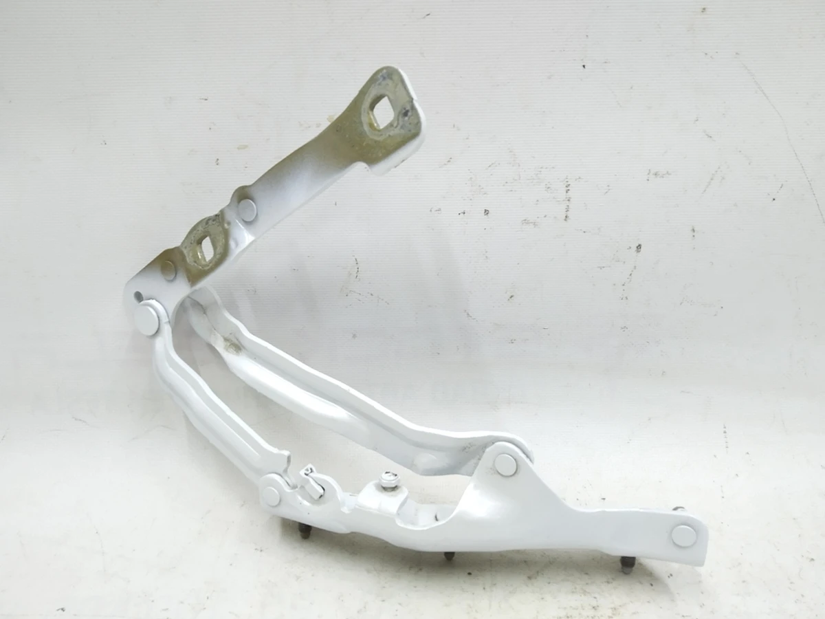 1 Trunk lid hinge left PPSW Tesla model 3 1092820-00-E