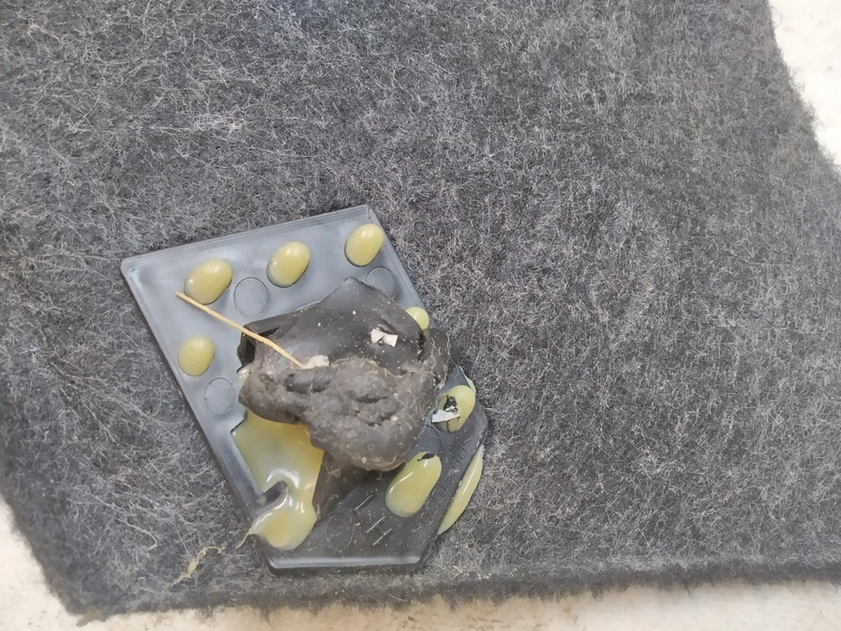 23 Обшивка стойки C низ левый (5 мест) Tesla model X 1102536-00-B