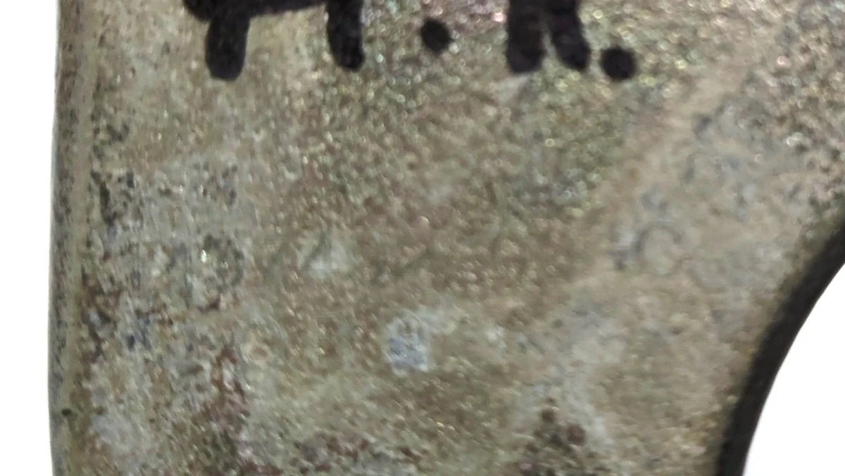 1 Front hinge LH PBSB Tesla Model Y 1497492-00-E