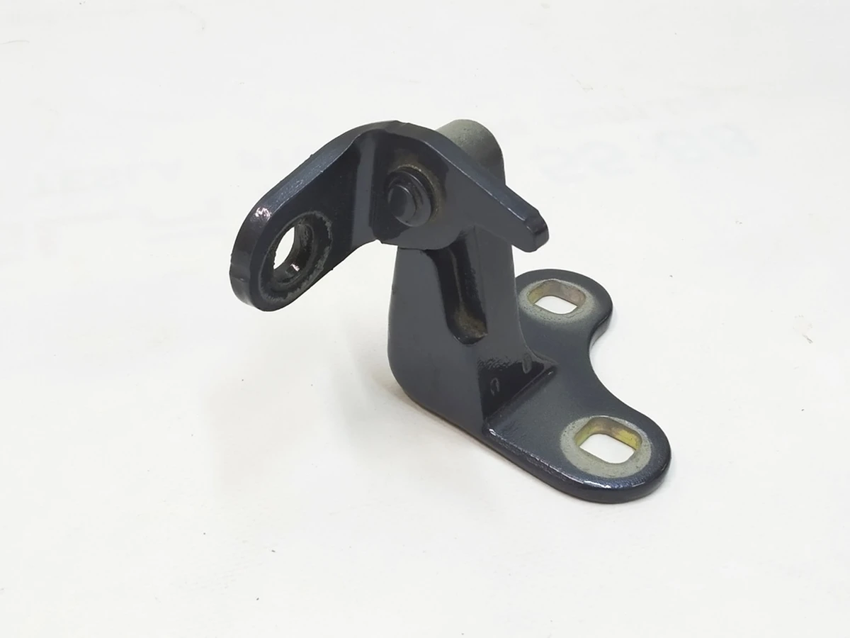 2 Hinge - Rear - Lower - Left Hand PMNG Tesla Model Y 1497495-00-E