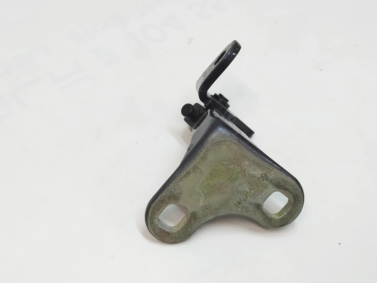 2 Hinge - Rear - Lower - Left Hand PMNG Tesla Model Y 1497495-00-E