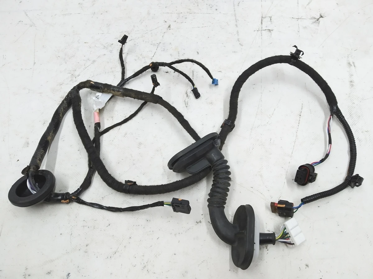 3 Tesla model 3 Rear Left Door Wiring 3067965-00-A