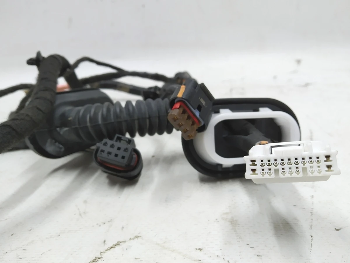 3 Tesla model 3 Rear Left Door Wiring 3067965-00-A