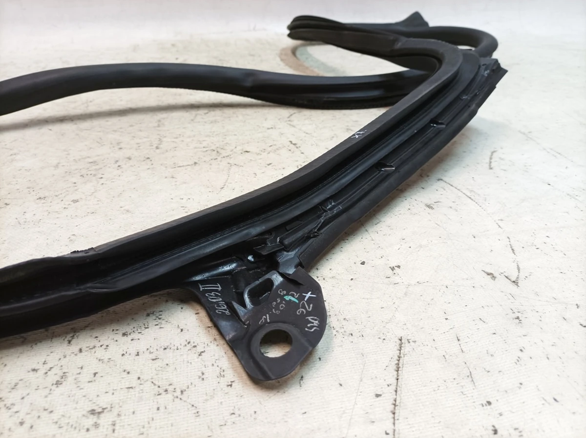 Ущільнювач внутрішні двері задньої лівої Porsche Taycan 9J1833721AL